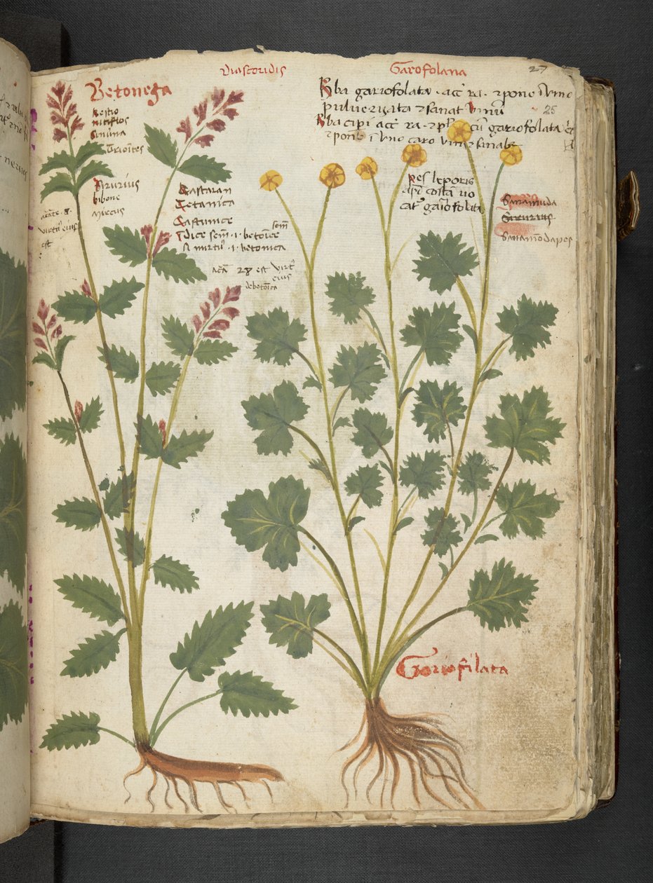 Tilføj MS 41623 