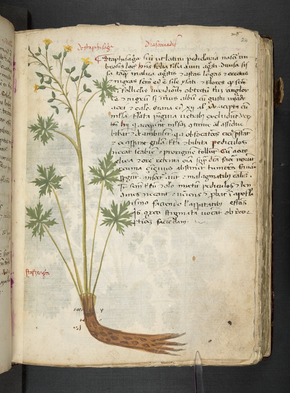 Tilføj MS 41623 