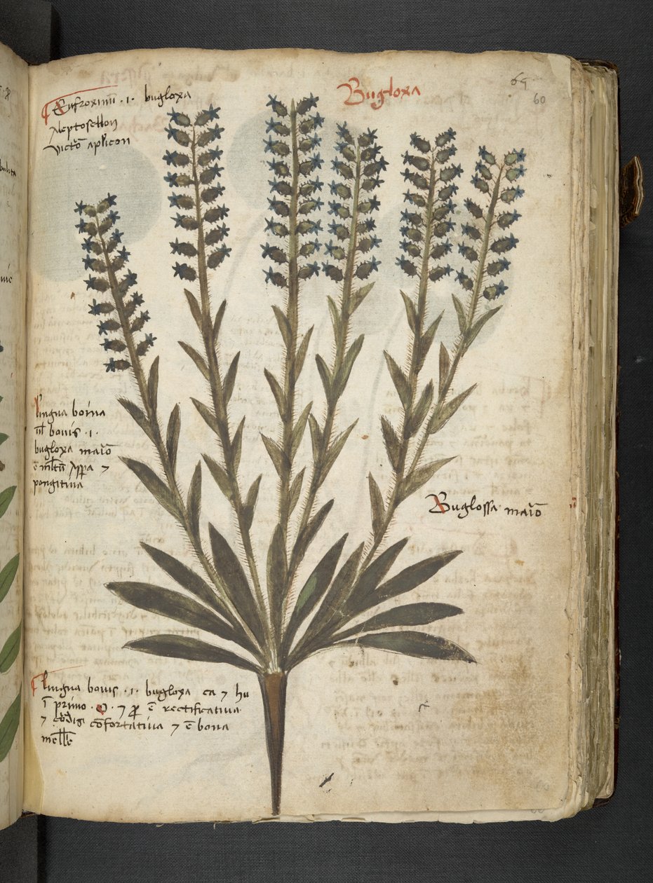 Tilføj MS 41623 