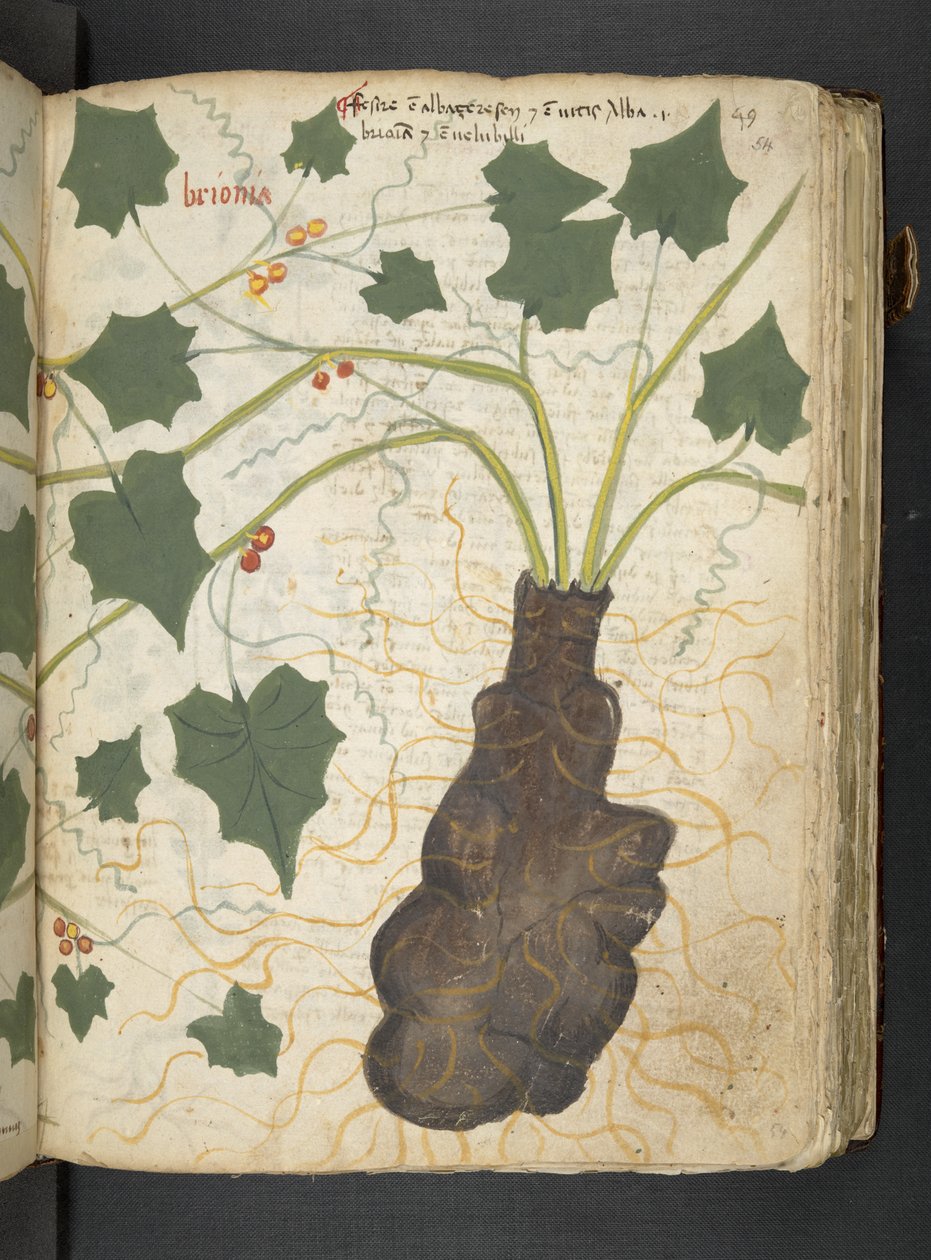 Tilføj MS 41623 