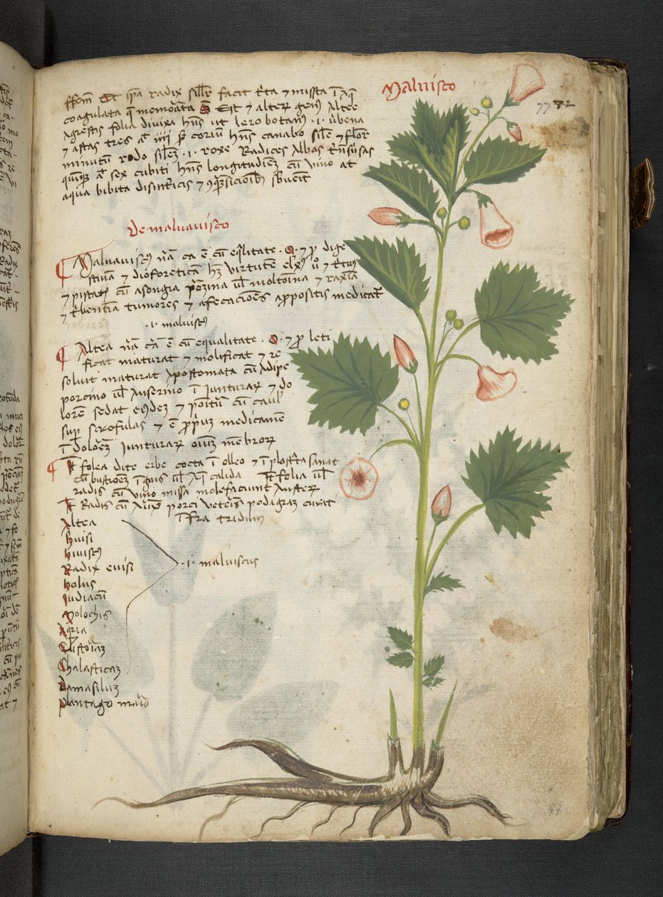 Tilføj MS 41623 