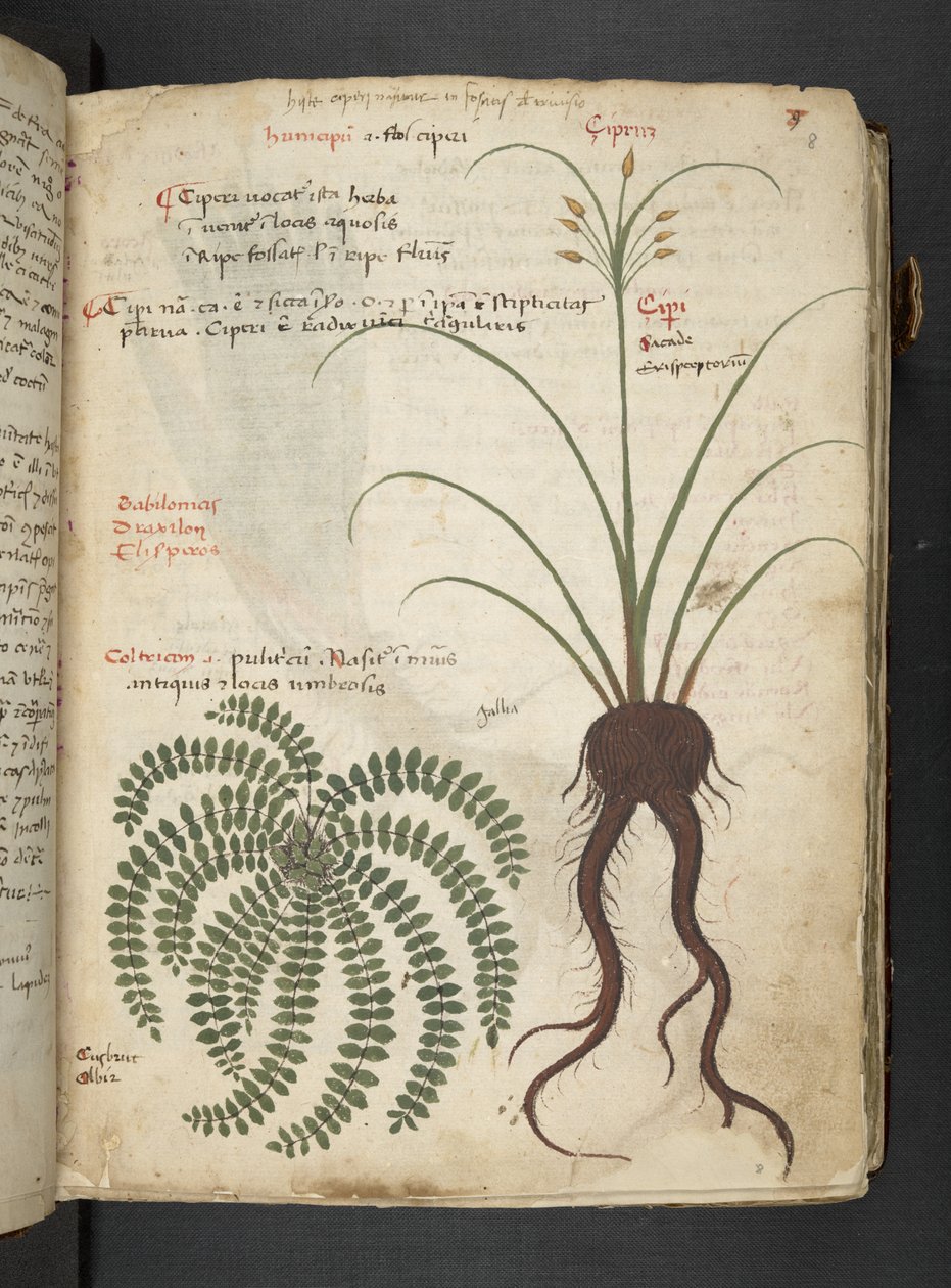 Tilføj MS 41623 