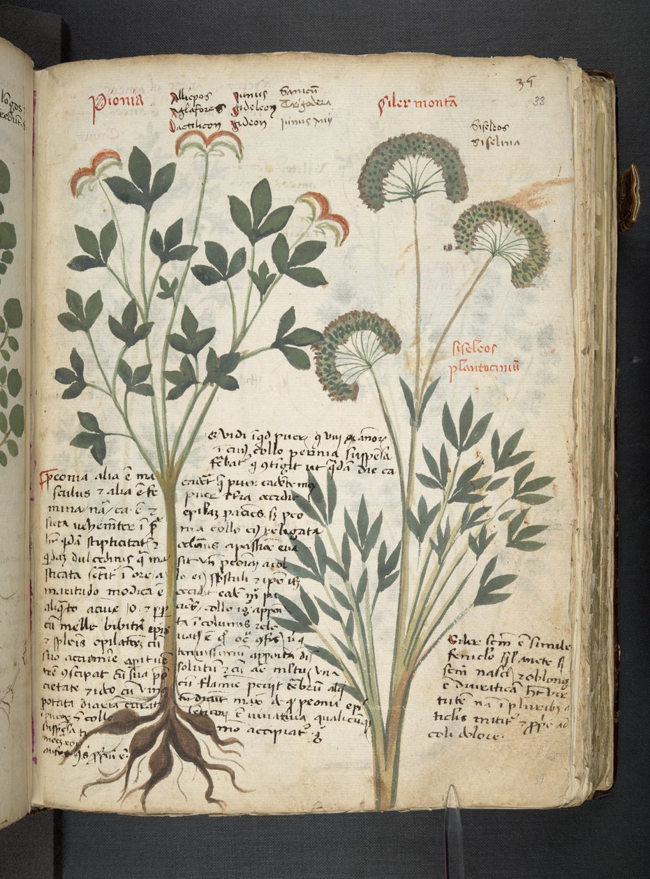 Tilføj MS 41623 