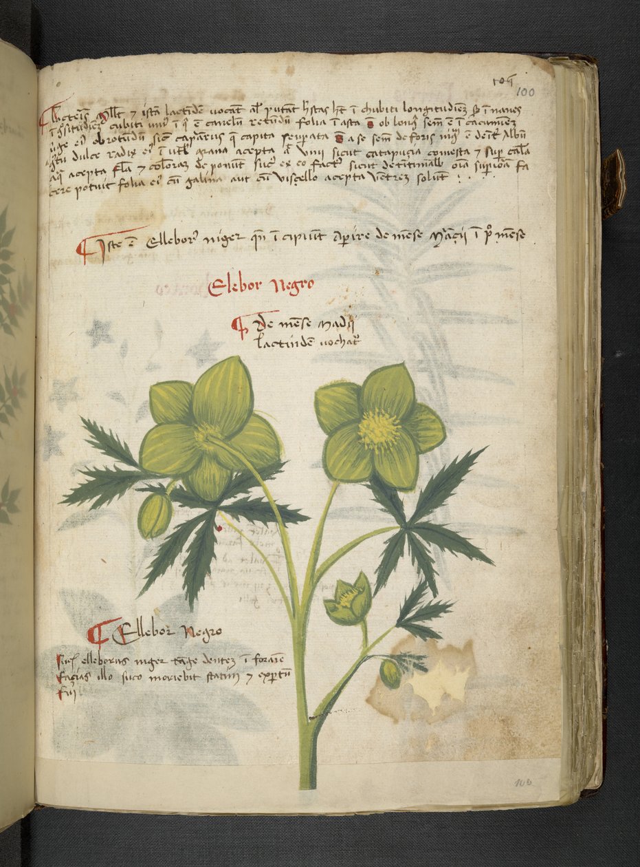 Tilføj MS 41623 