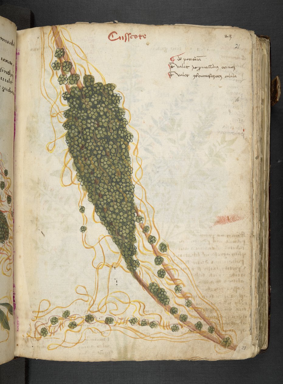 Tilføj MS 41623 