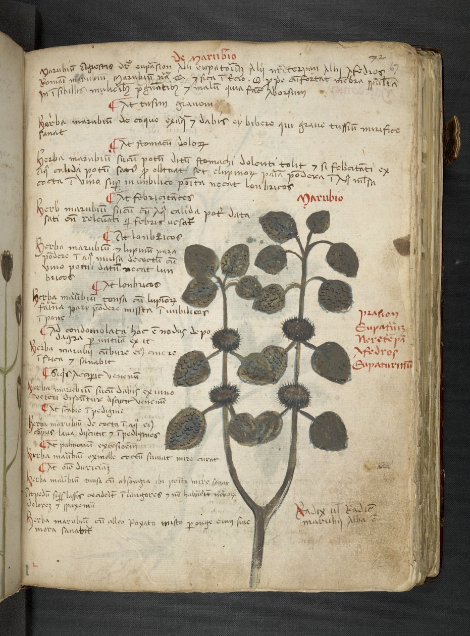 Tilføj MS 41623 