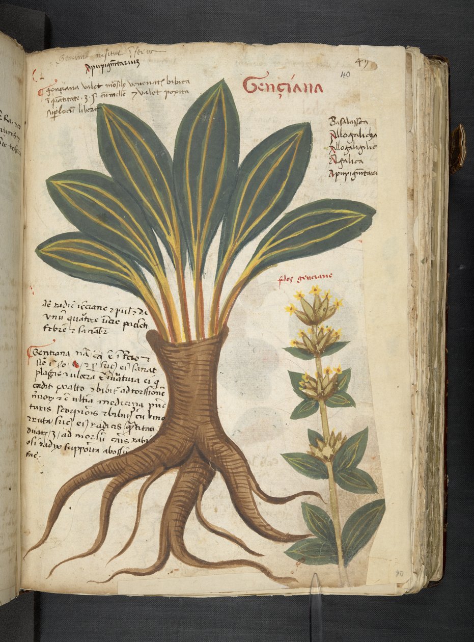 Tilføj MS 41623 