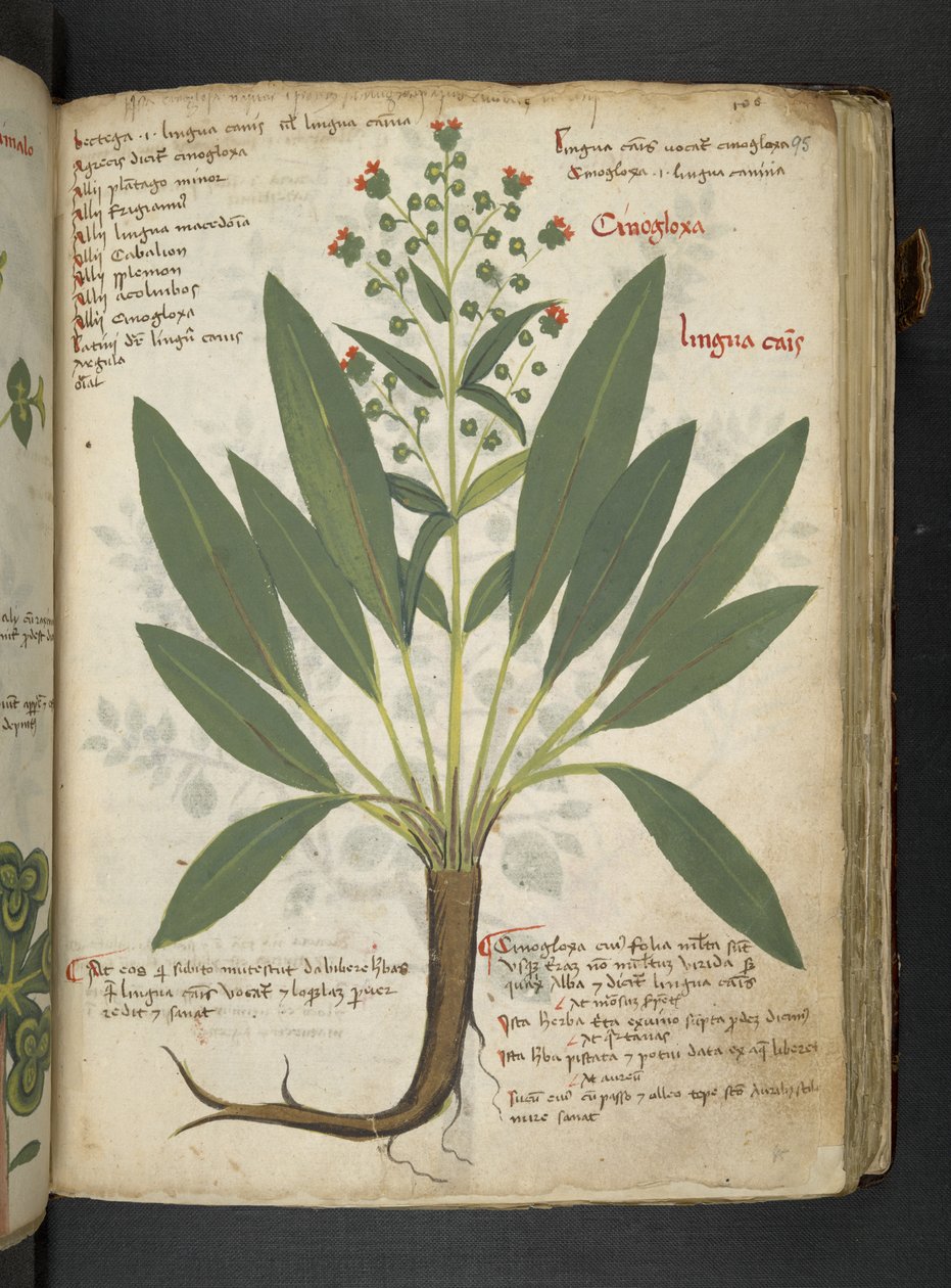 Tilføj MS 41623 