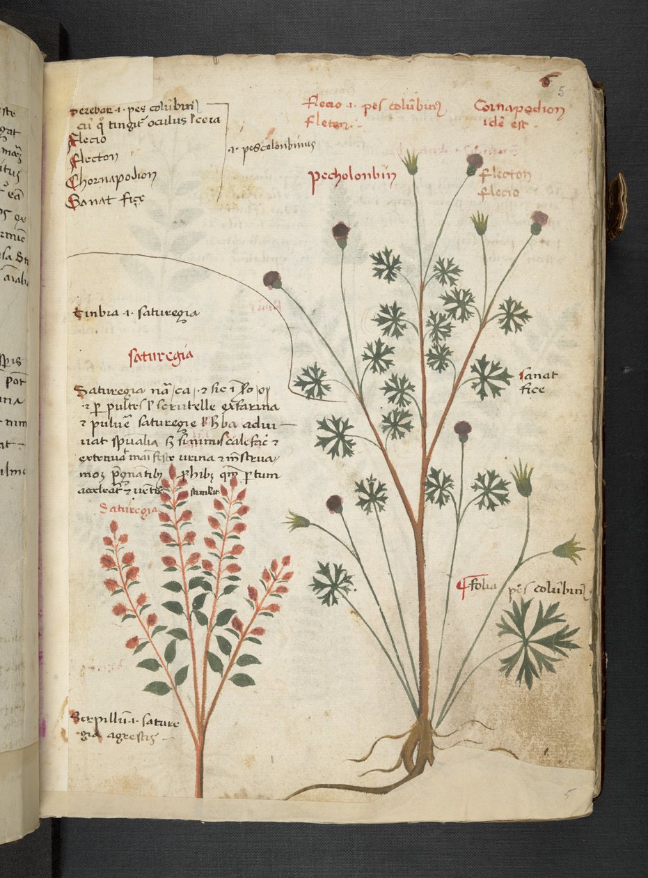 Tilføj MS 41623 
