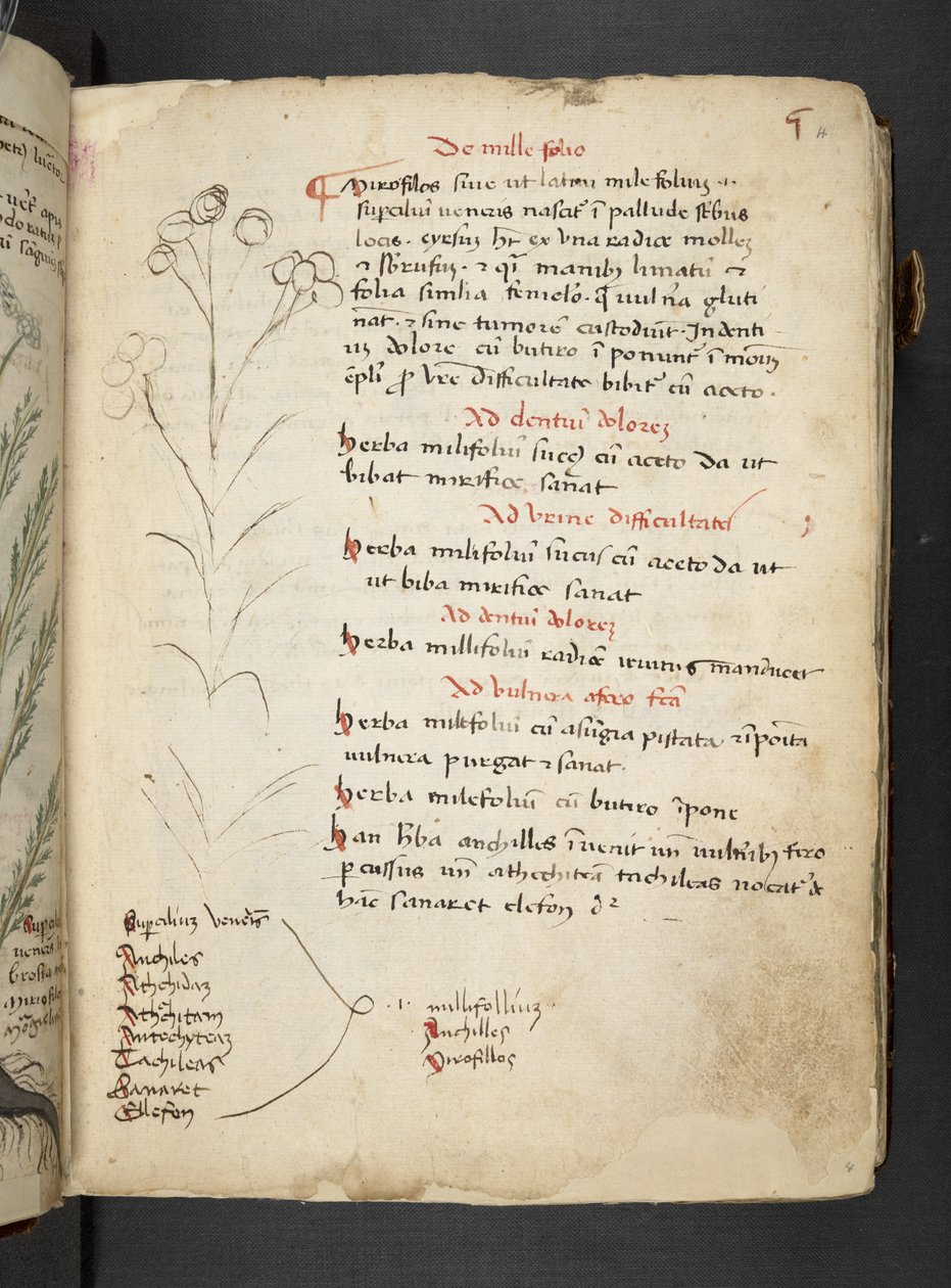 Tilføj MS 41623 