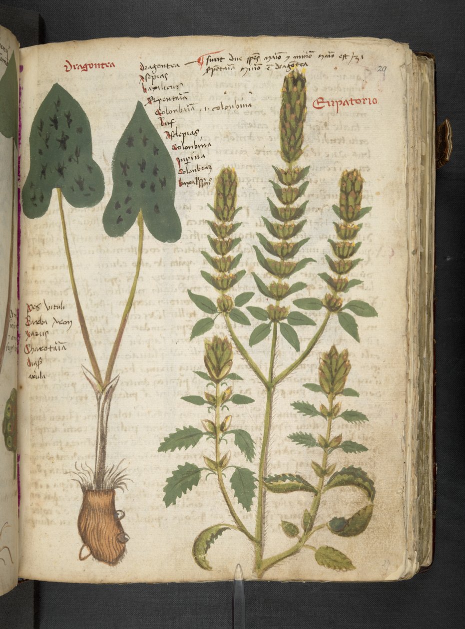 Tilføj MS 41623 