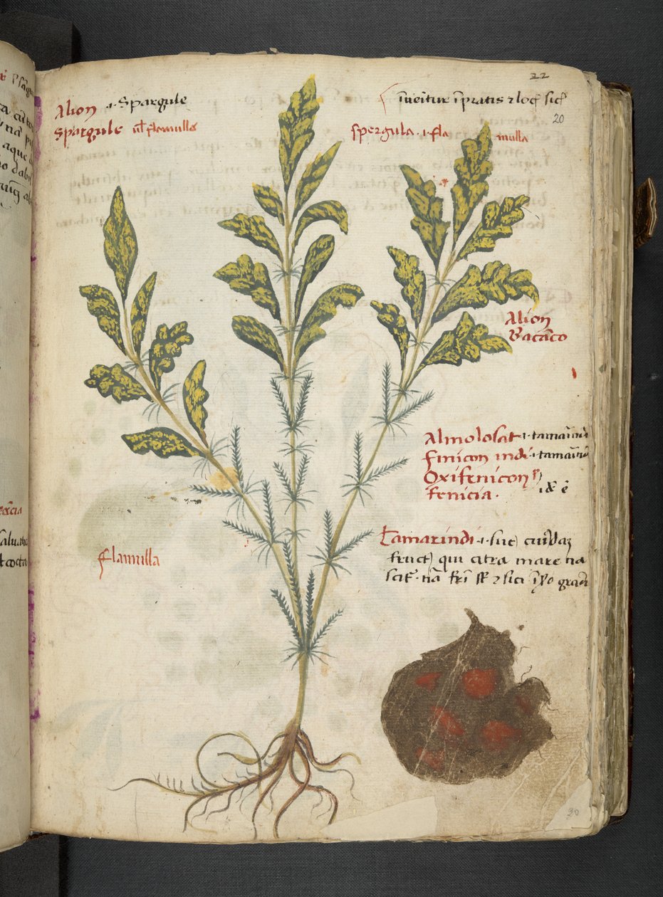 Tilføj MS 41623 