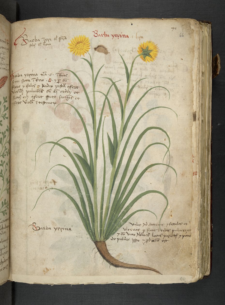 Tilføj MS 41623 