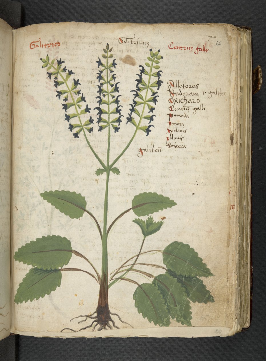 Tilføj MS 41623 