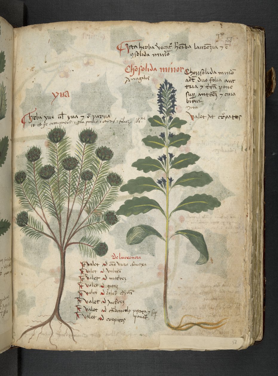 Tilføj MS 41623 