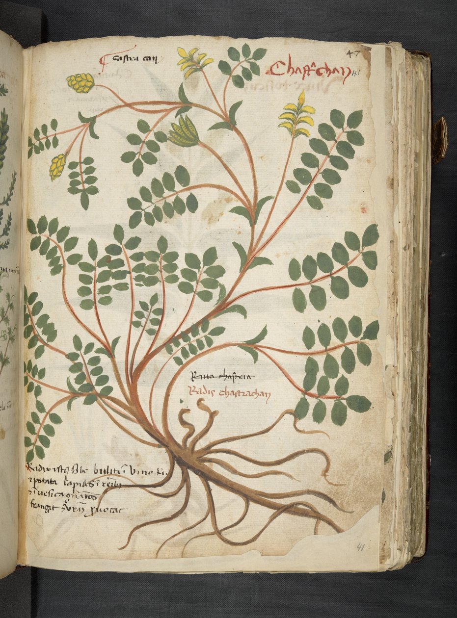 Tilføj MS 41623 