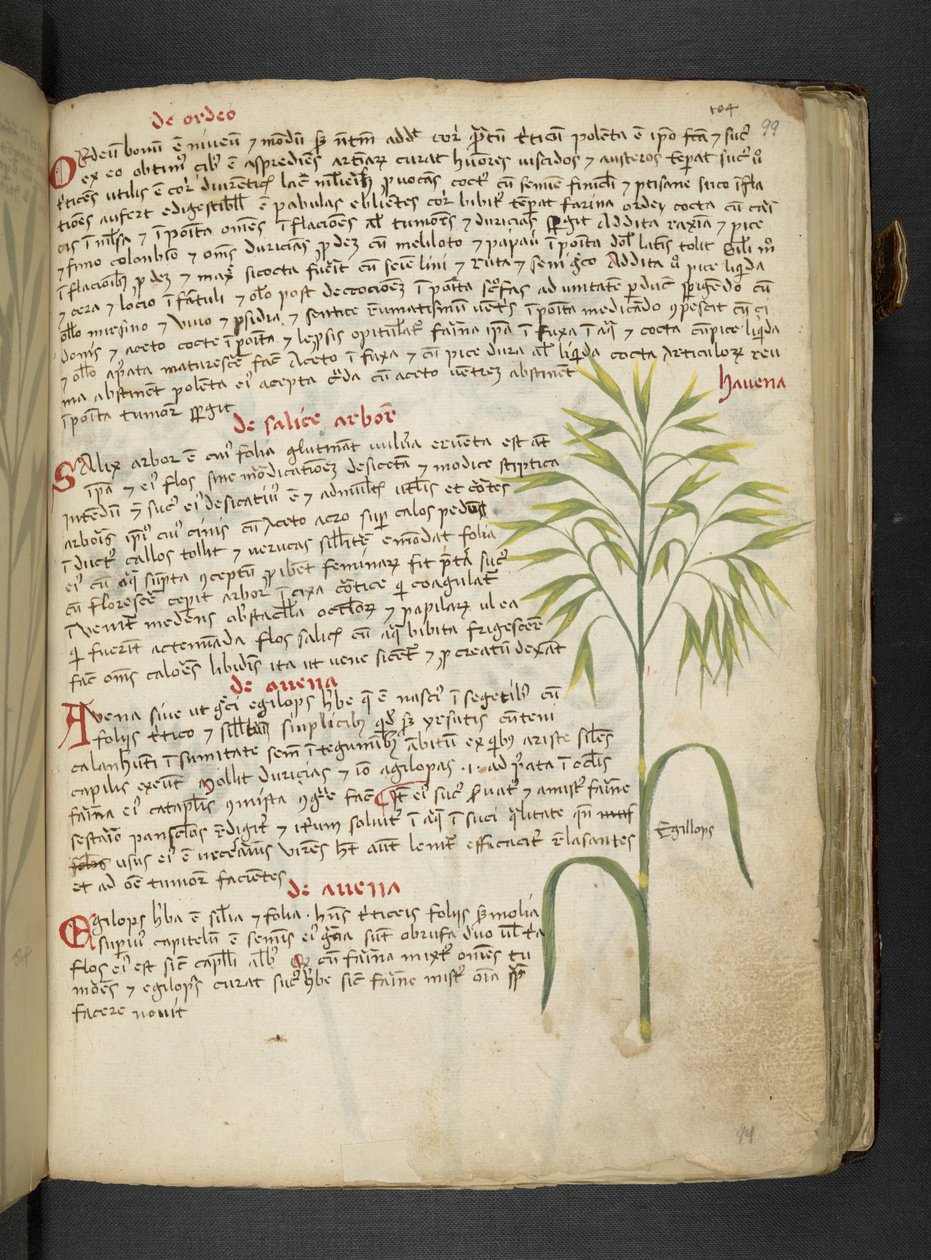 Tilføj MS 41623 