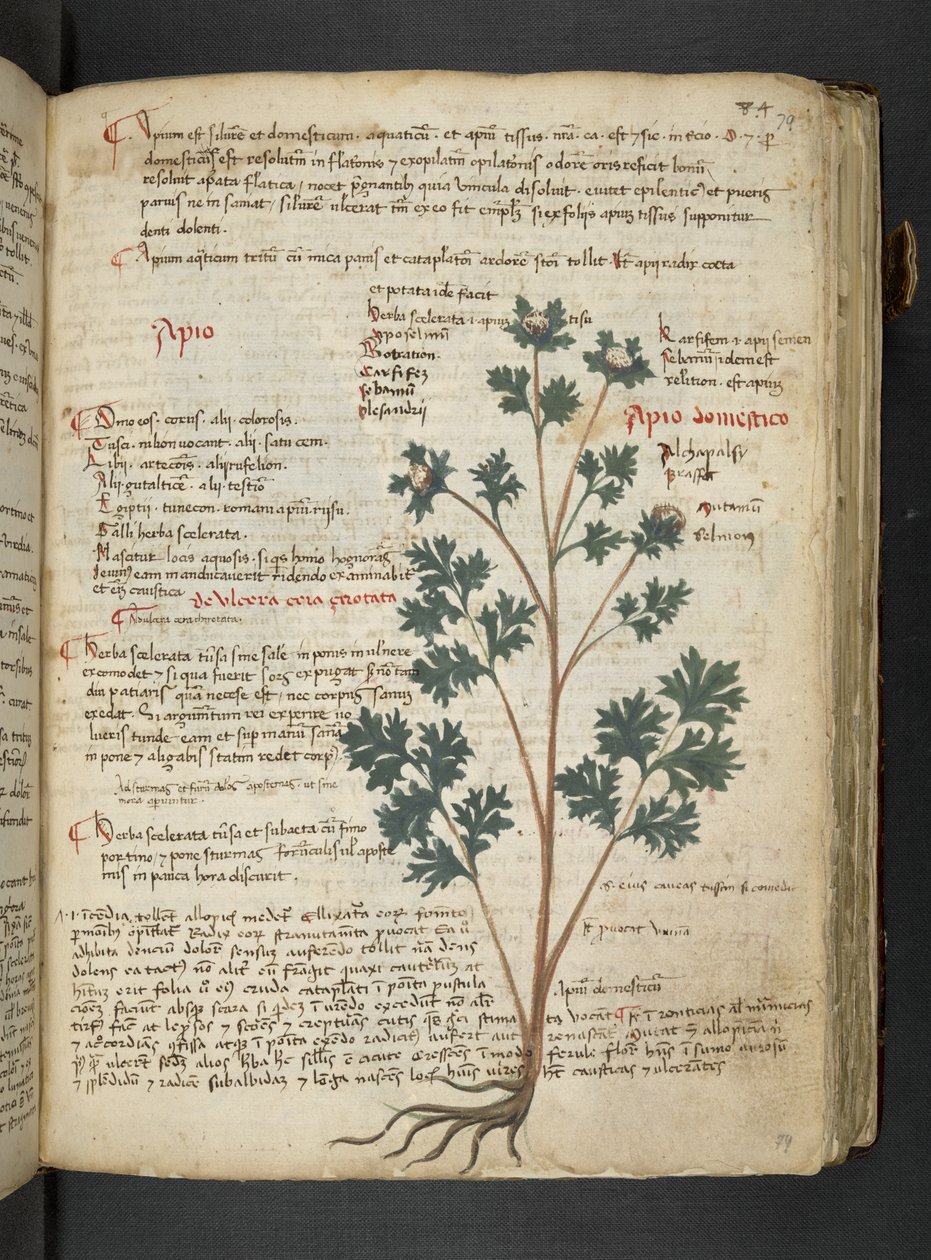 Tilføj MS 41623 