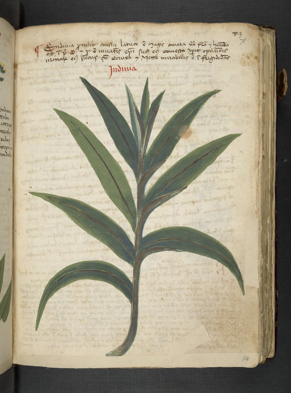 Tilføj MS 41623 