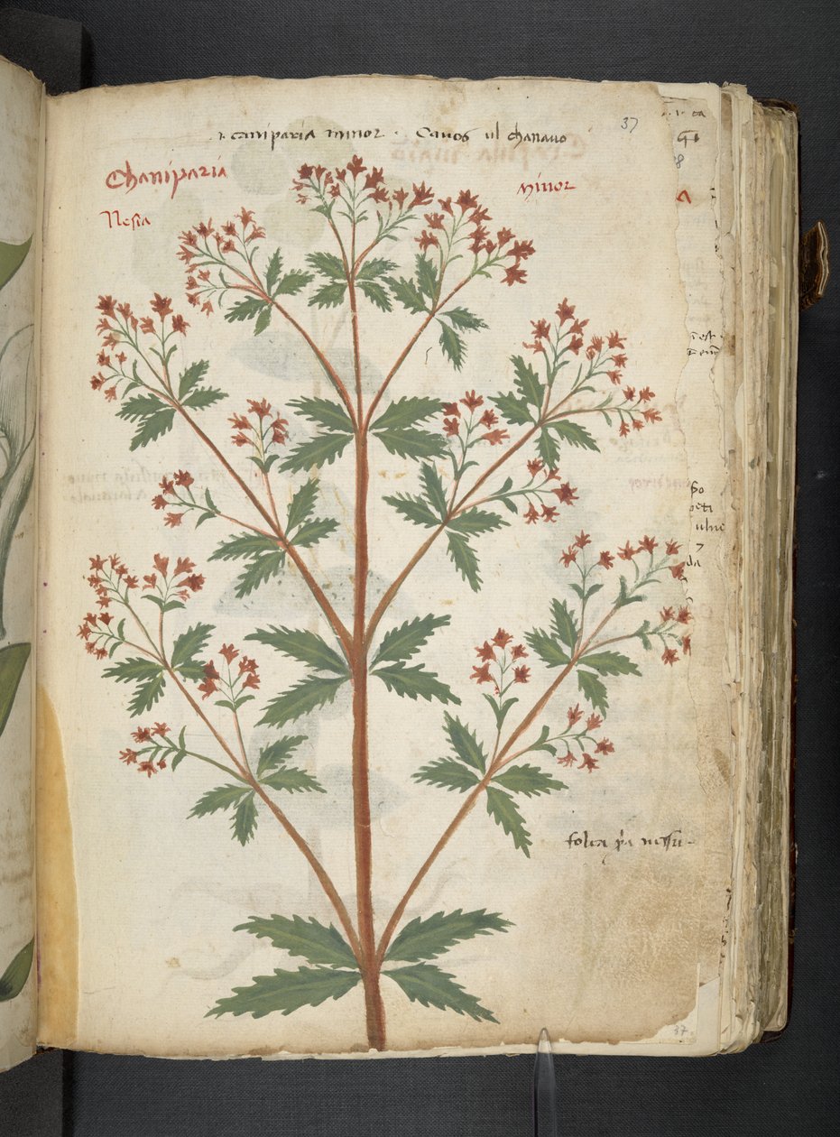 Tilføj MS 41623 