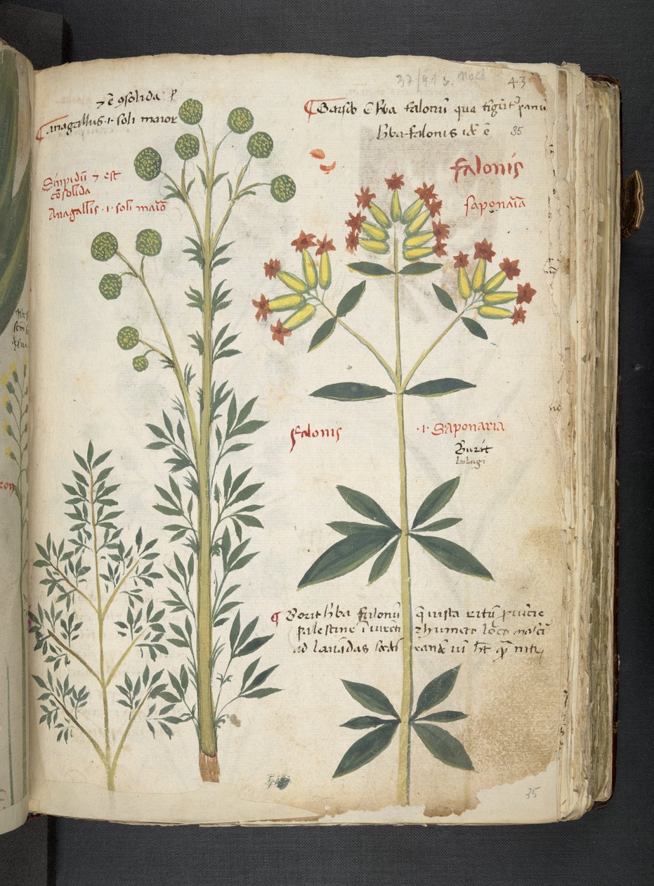 Tilføj MS 41623 
