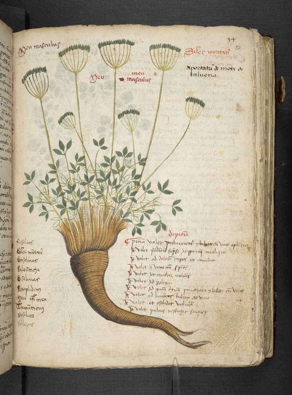 Tilføj MS 41623 