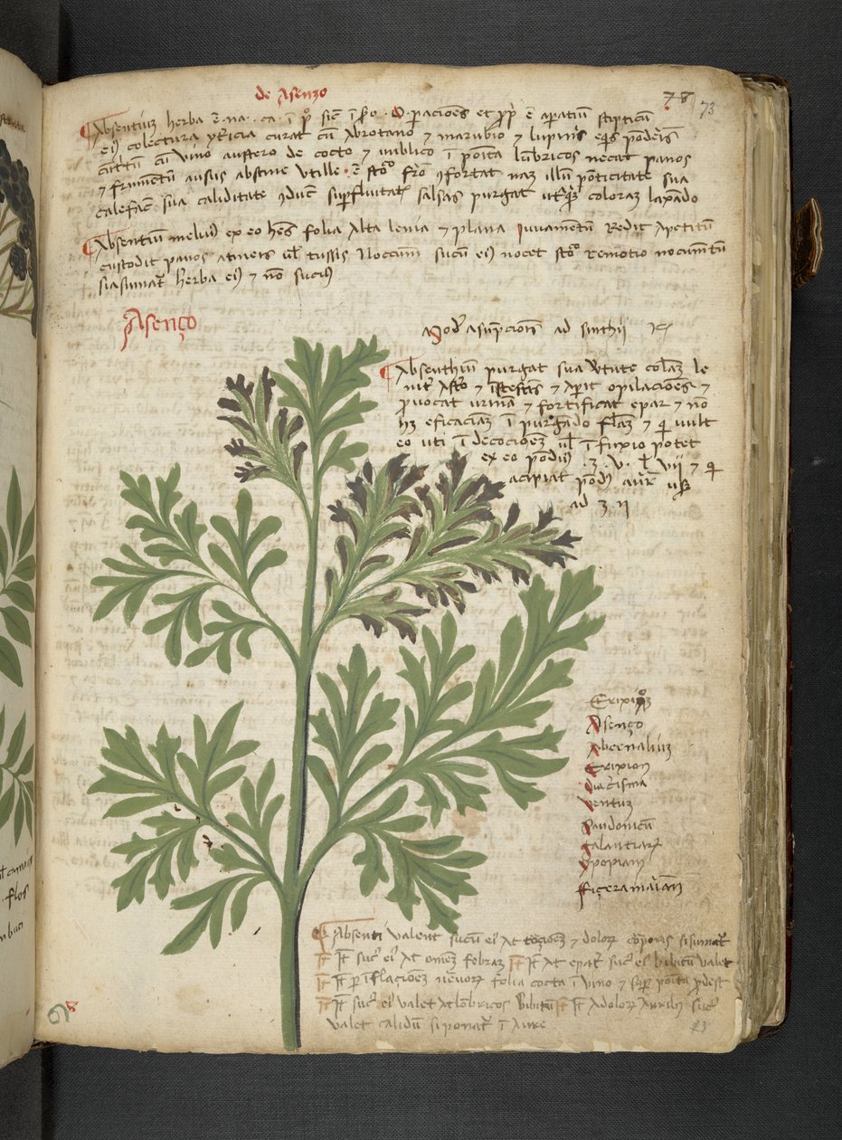 Tilføj MS 41623 