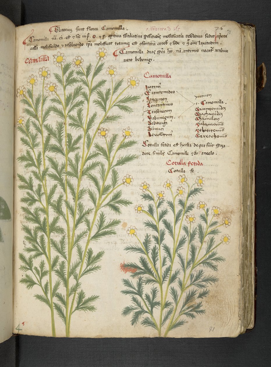Tilføj MS 41623 
