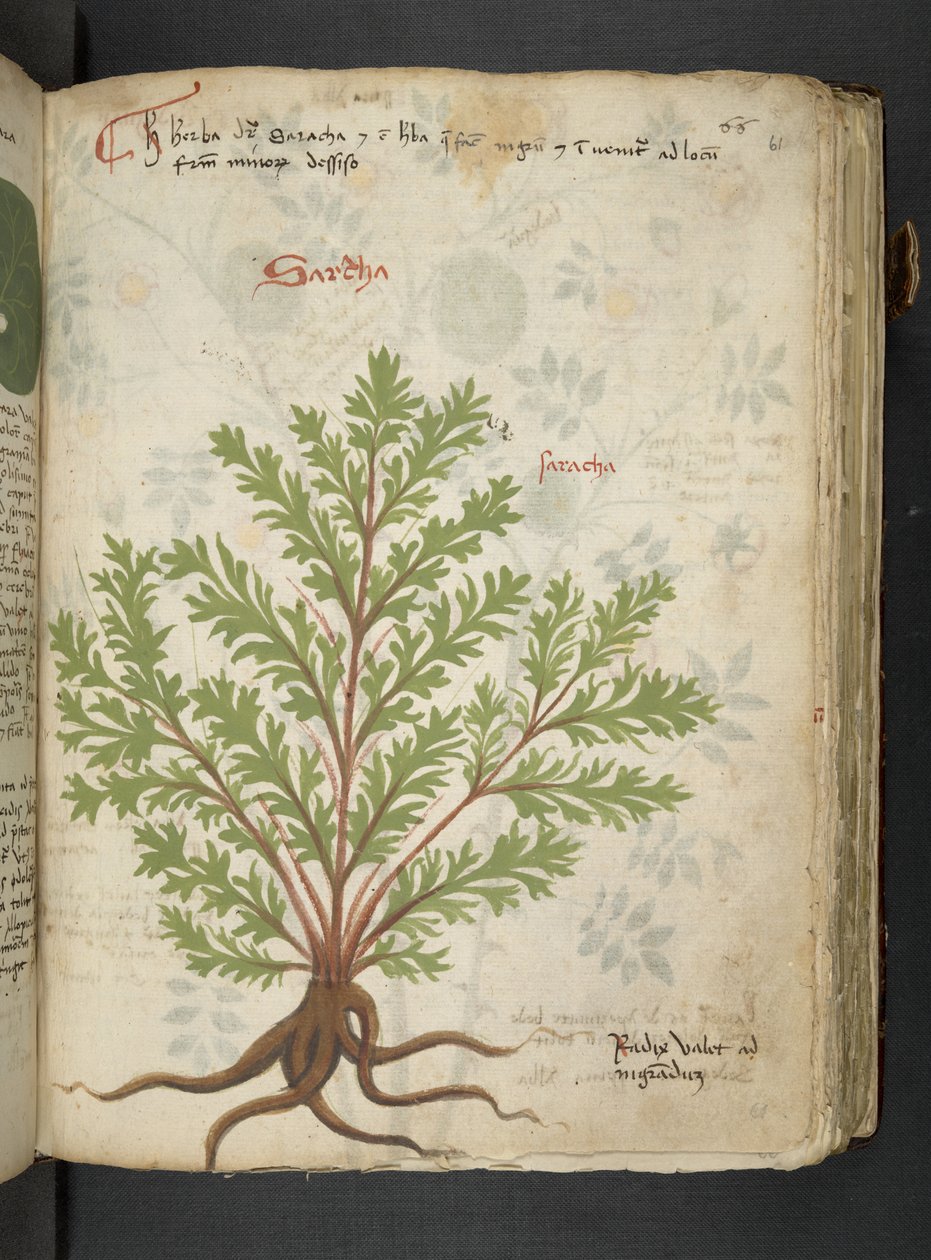Tilføj MS 41623 