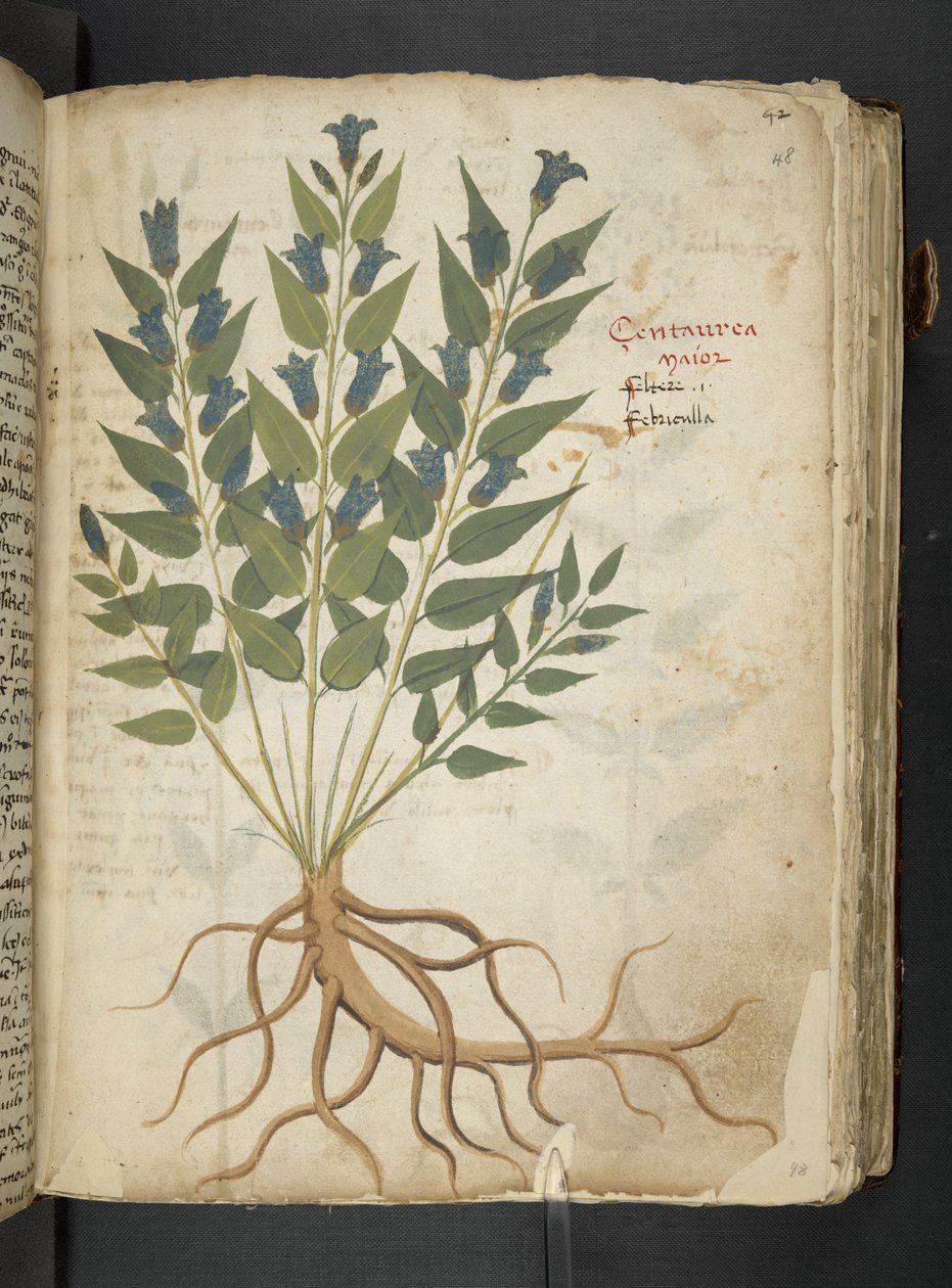 Tilføj MS 41623 