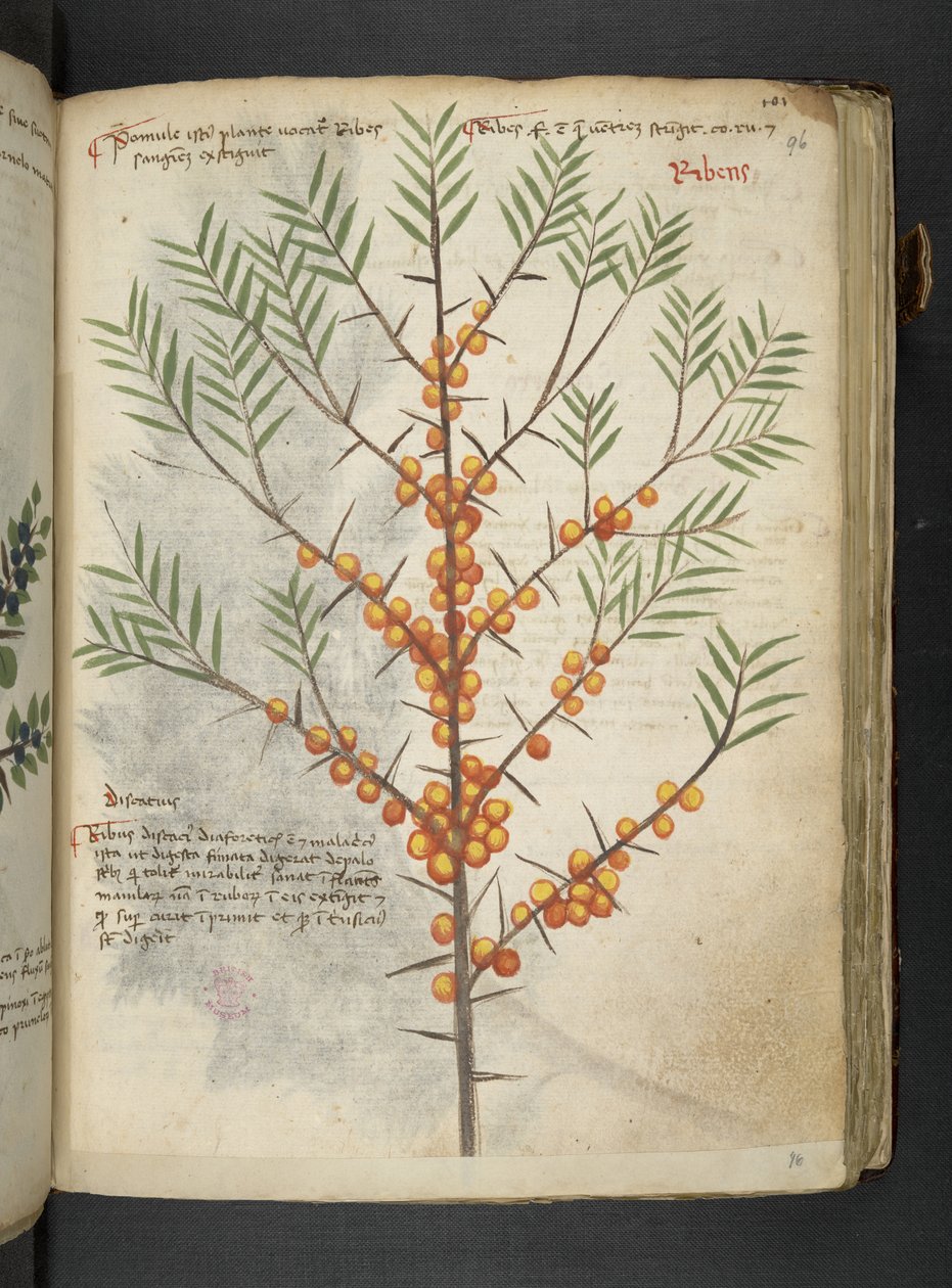 Tilføj MS 41623 
