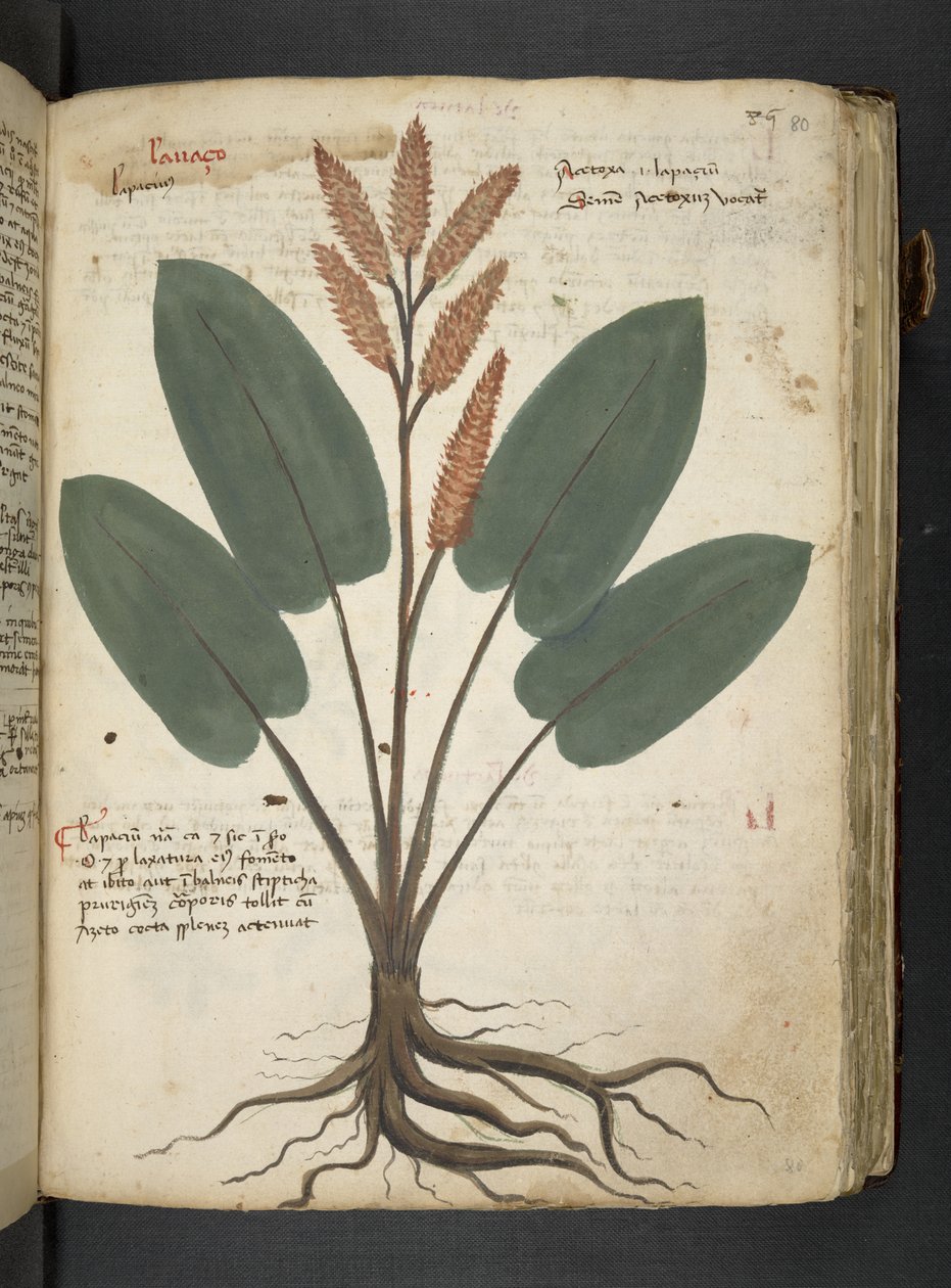 Tilføj MS 41623 