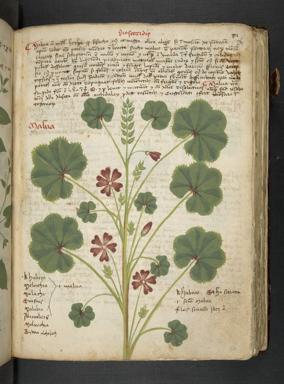 Tilføj MS 41623 