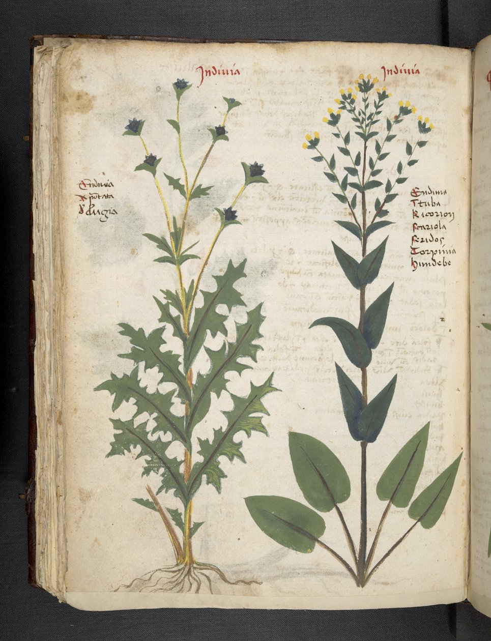 Tilføj MS 41623 