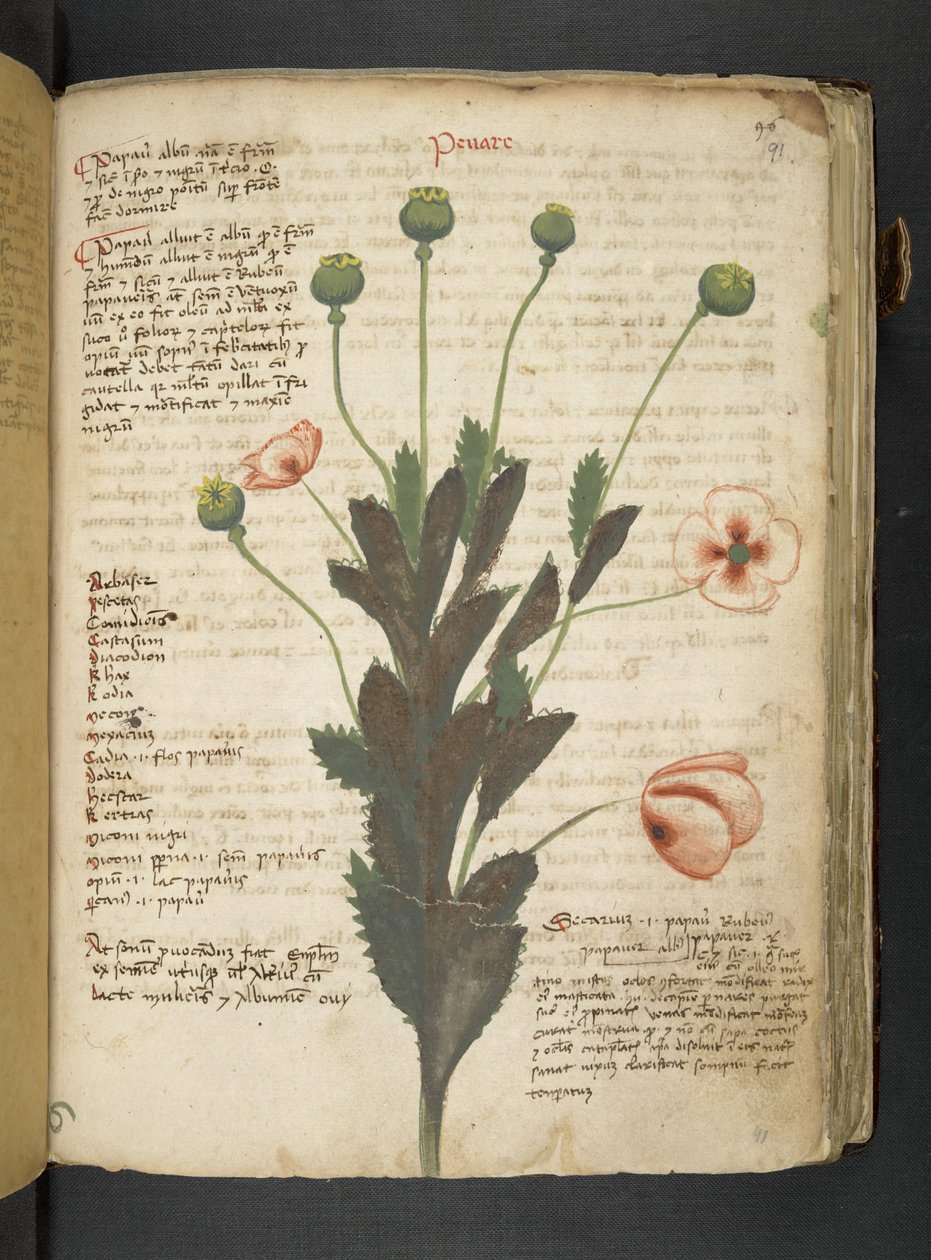 Tilføj MS 41623 