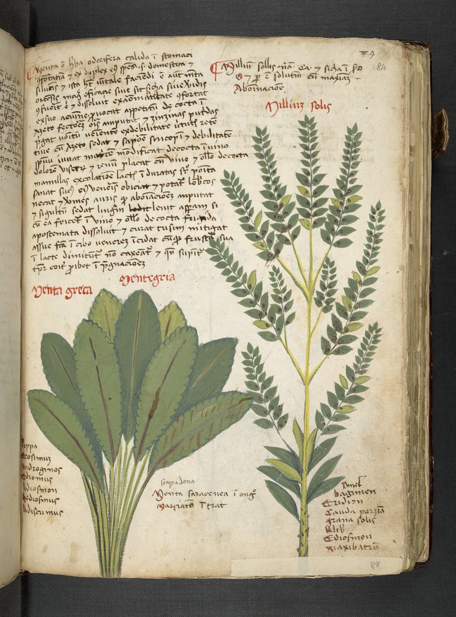 Tilføj MS 41623 