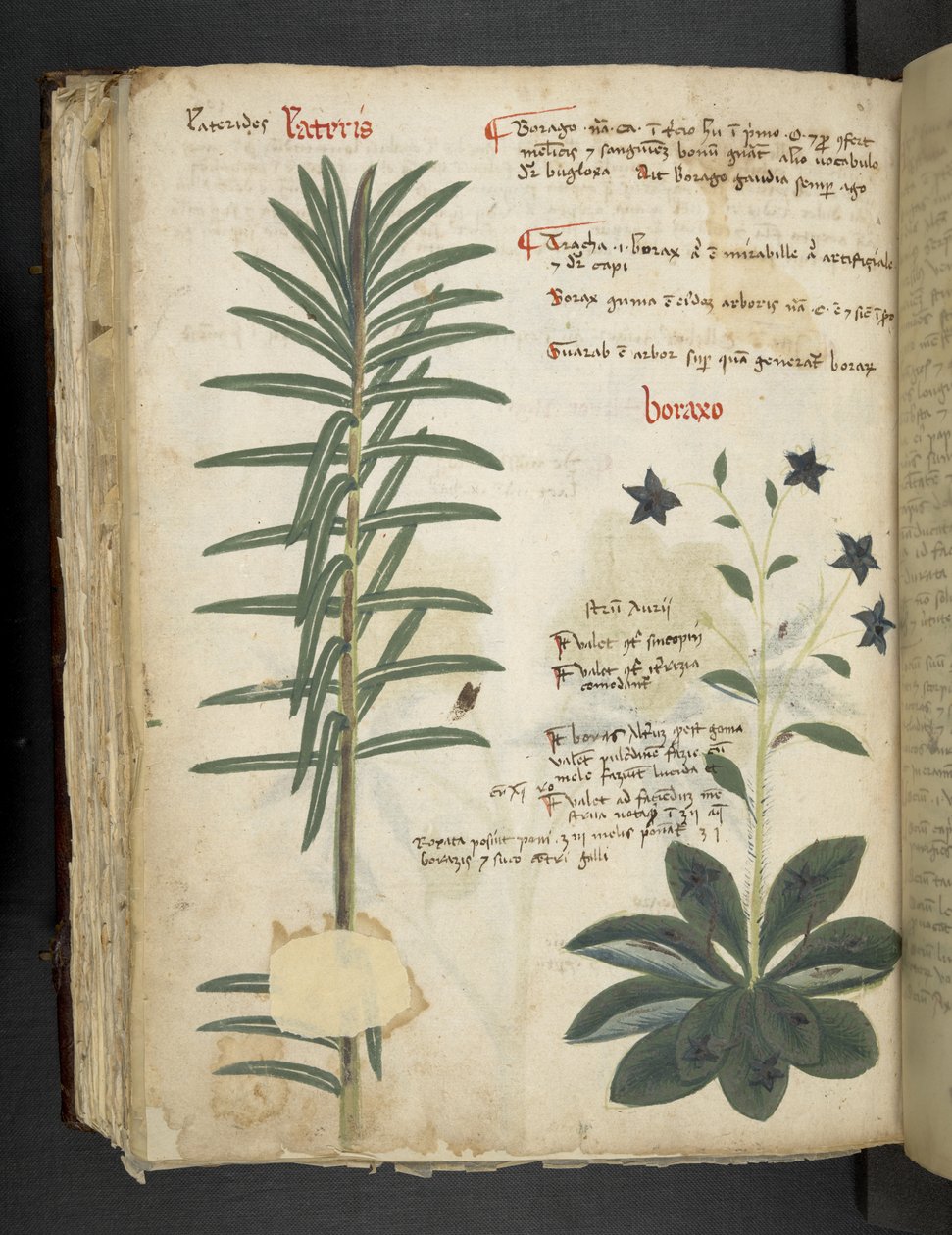 Tilføj MS 41623 Boraxo (eller 