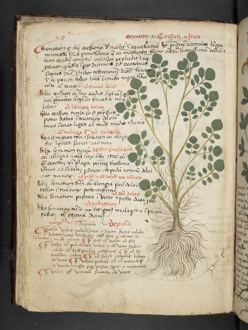 Tilføj MS 41623 f.32v 