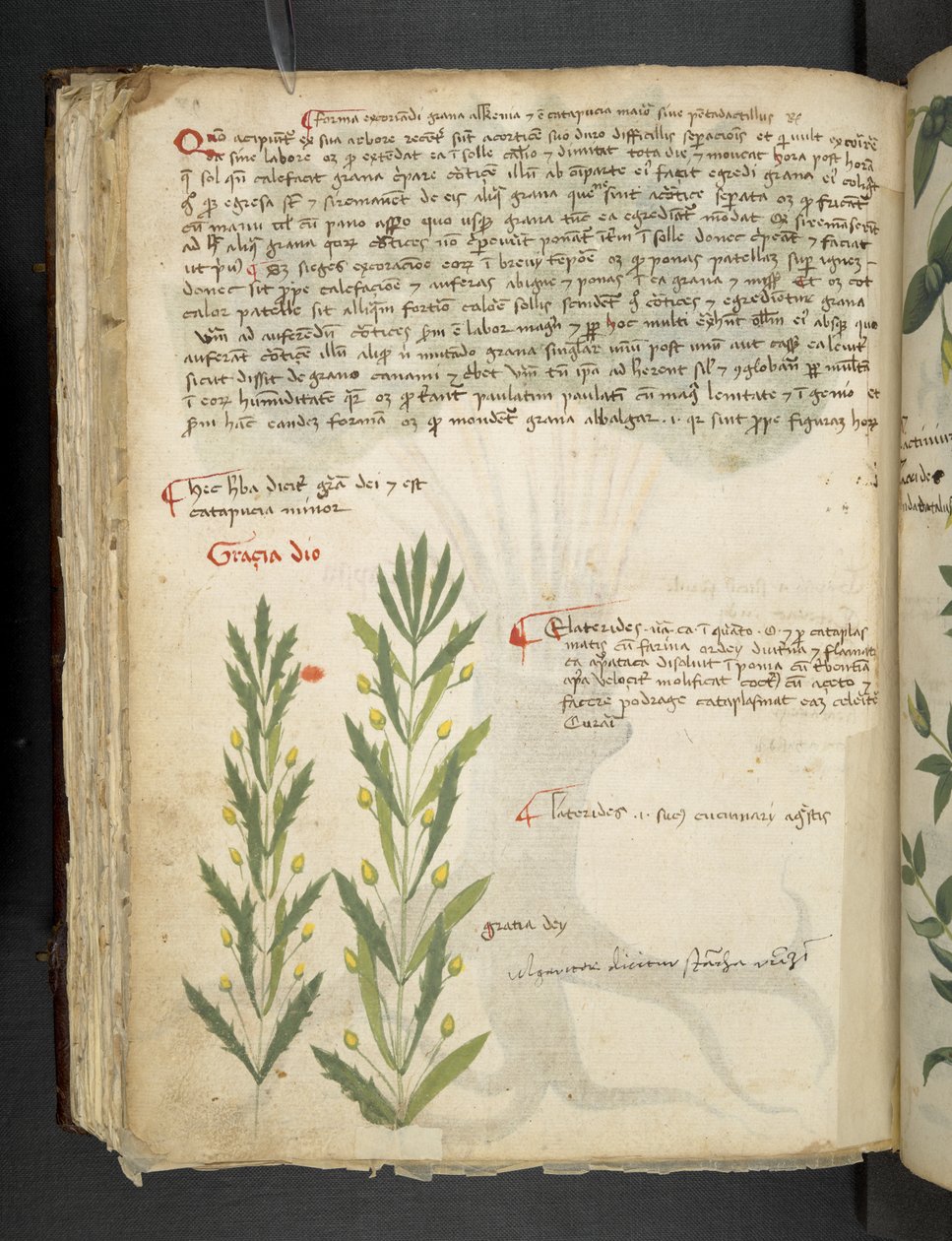 Tilføj MS 41623 f.39v 