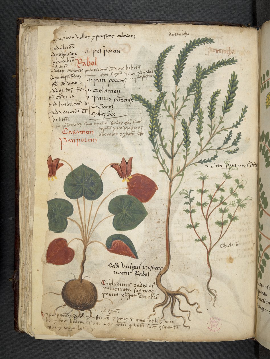 Tilføj MS 41623 f.40v 