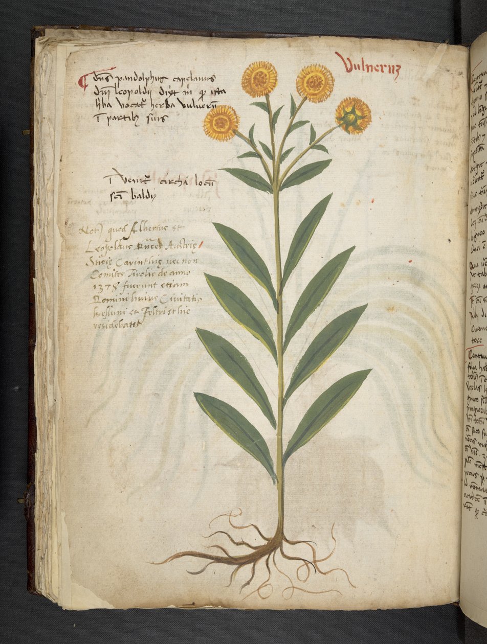 Tilføj MS 41623 f.49v 