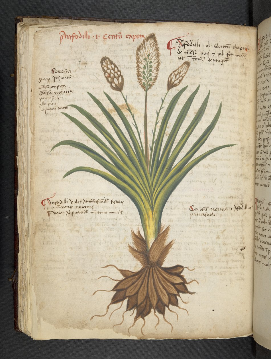 Tilføj MS 41623 f.50v 