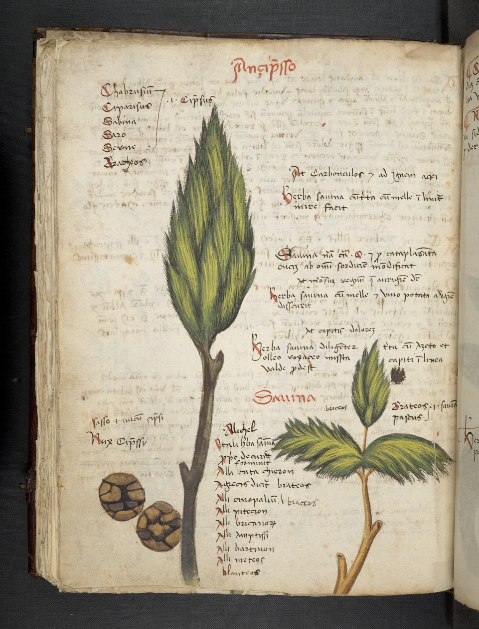 Tilføj MS 41623 f.62v 