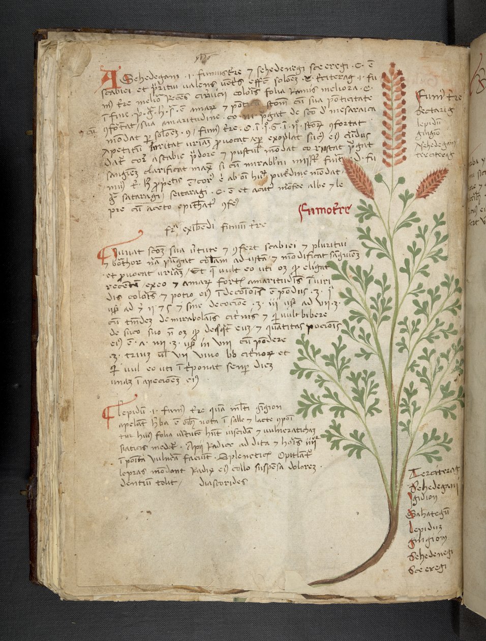 Tilføj MS 41623 f.65v 