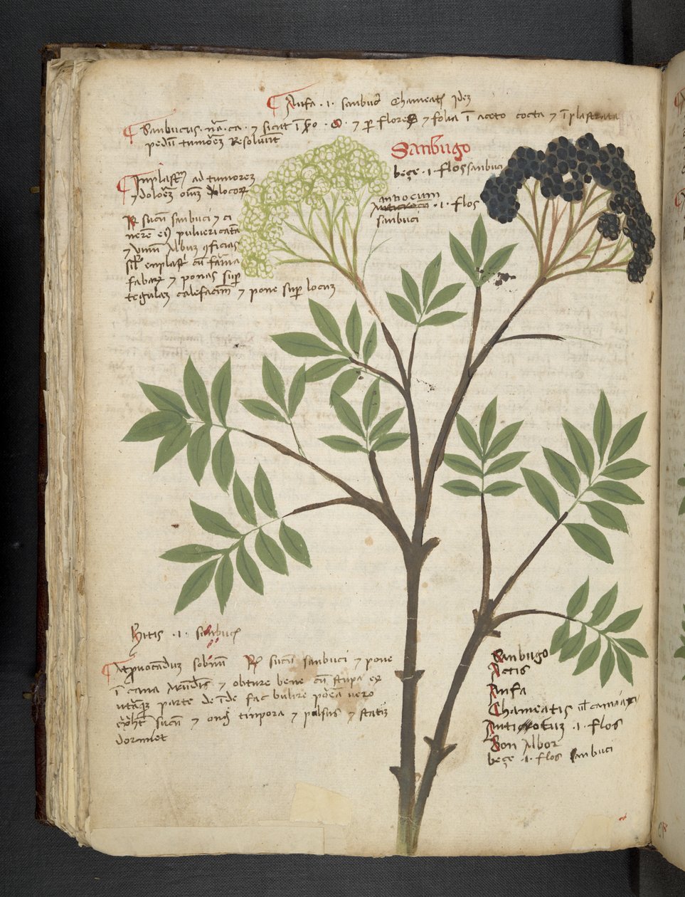 Tilføj MS 41623 f.72v 