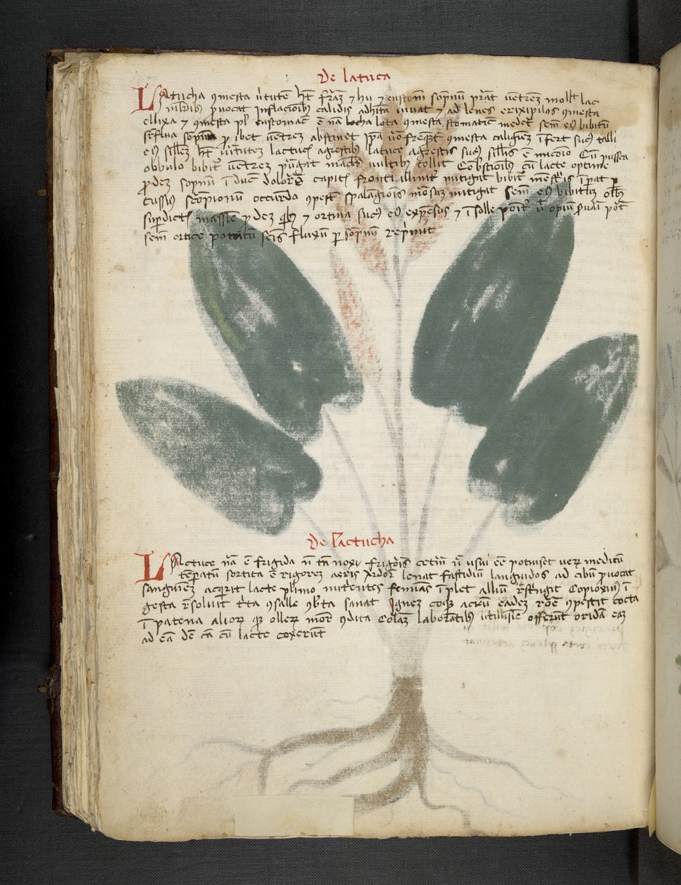 Tilføj MS 41623 f.80v 
