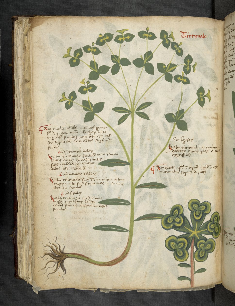 Tilføj MS 41623 f.94v 