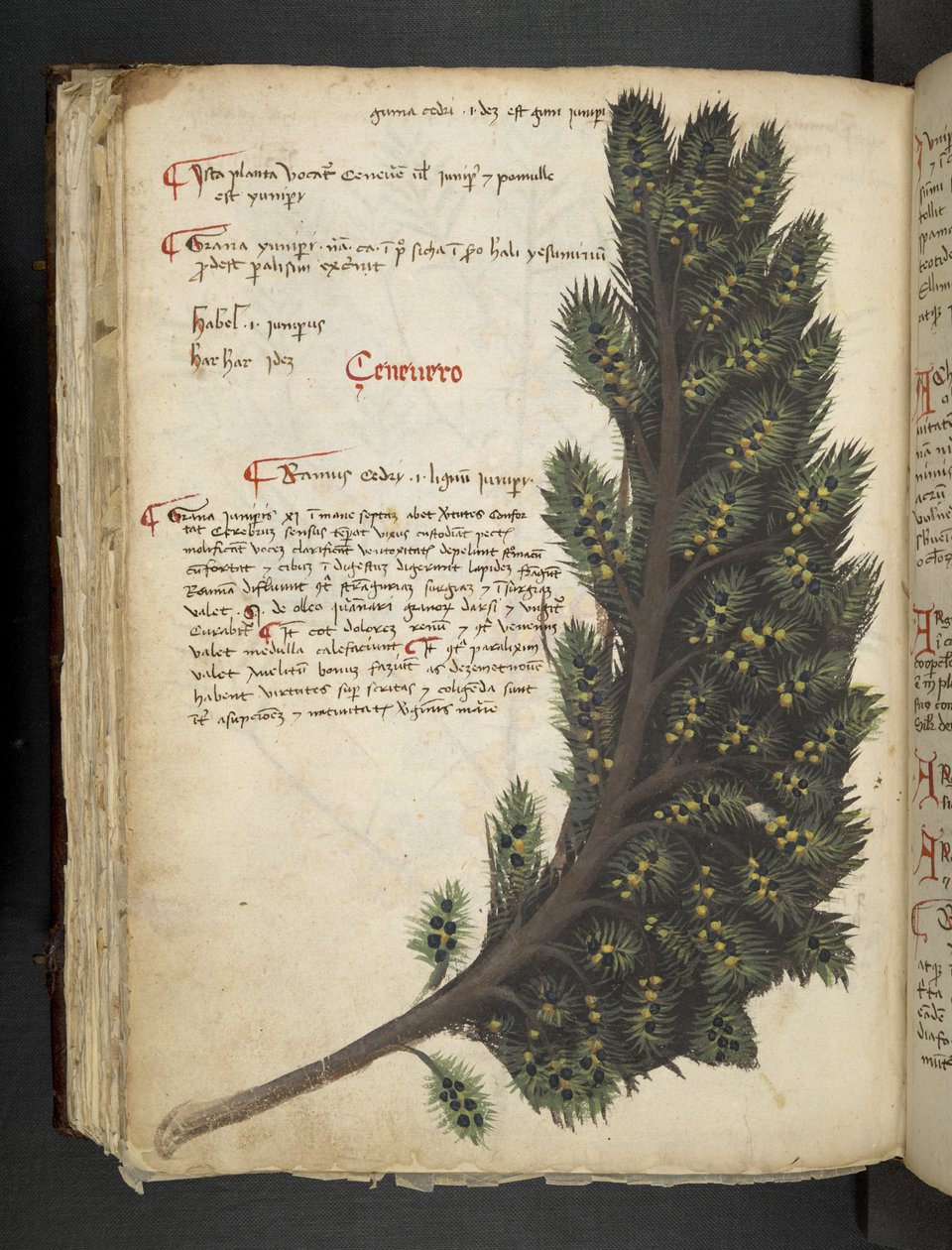 Tilføj MS 41623 f.96v 
