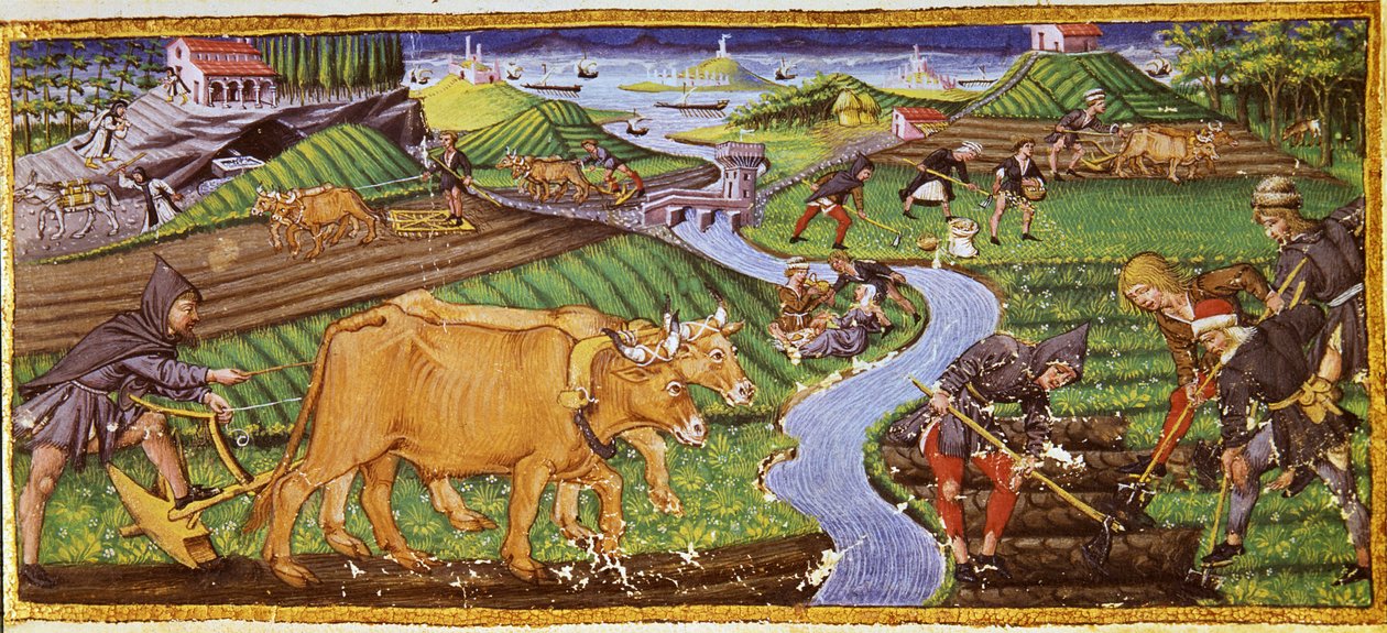 Landbrug i begyndelsen af det 15. århundrede. Biblioteca Riccardiana, Firenze. af Italian School