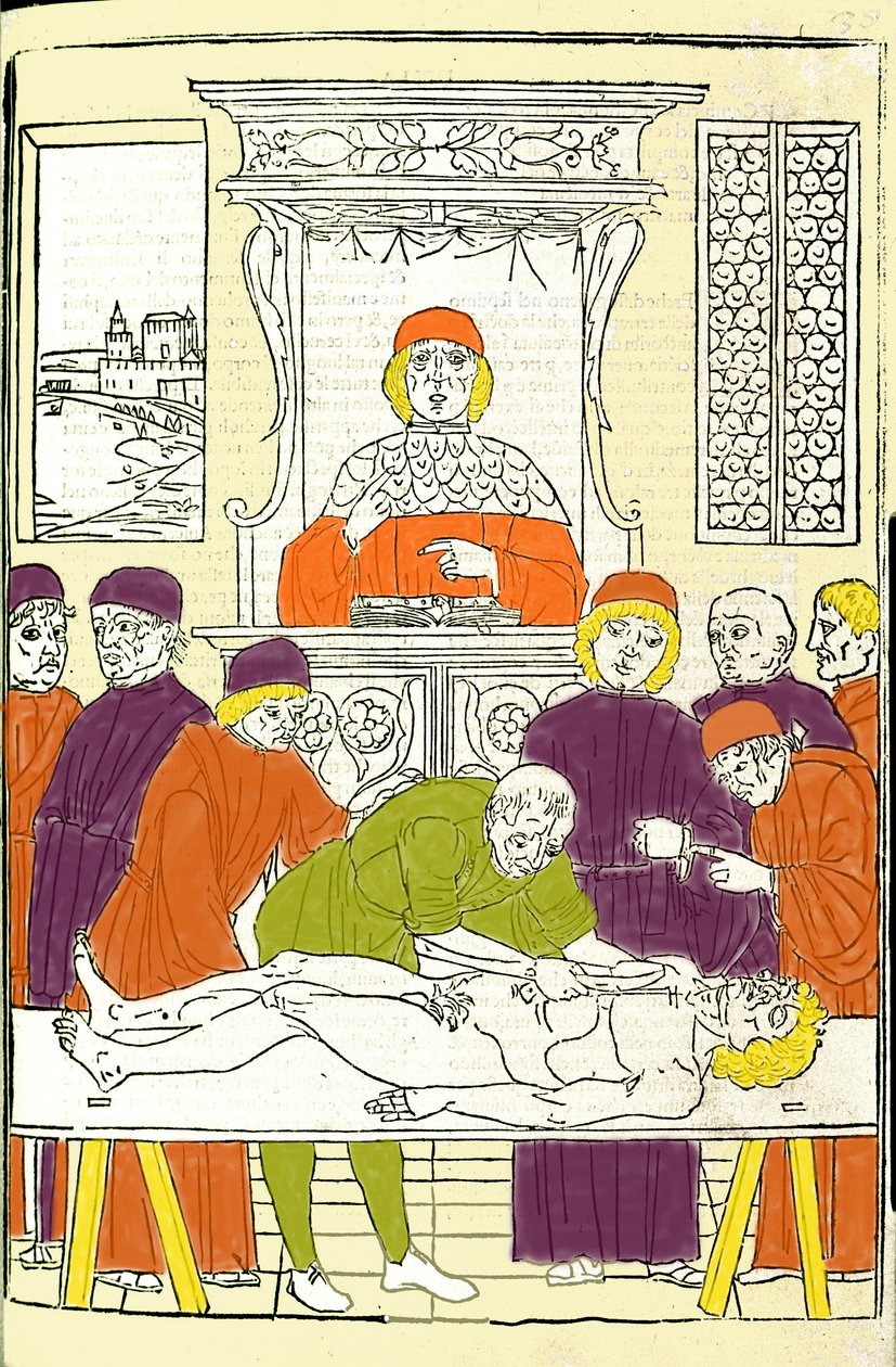 Anatomisk dissektion. Gravering fra en behandling af medicin af Gerolamo Cardano (Cardano) (Cardanus Hieronymus), Firenze af Italian School